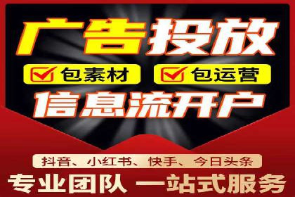 解析某某SEM服务公司的广告投放策略与效果评估